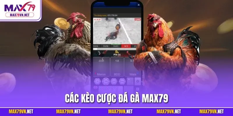 Các kèo cược đá gà MAX79