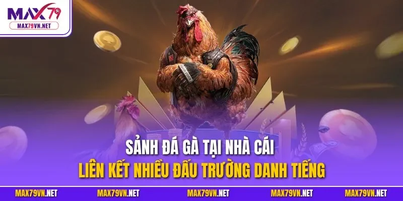 Sảnh đá gà tại nhà cái liên kết nhiều đấu trường danh tiếng