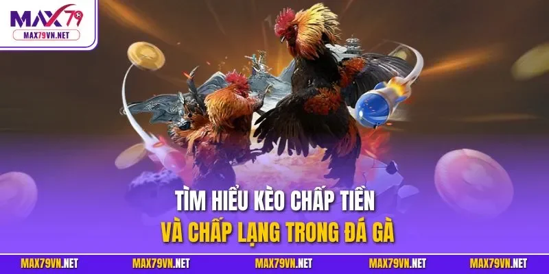 Tìm hiểu kèo chấp tiền và chấp lạng trong đá gà